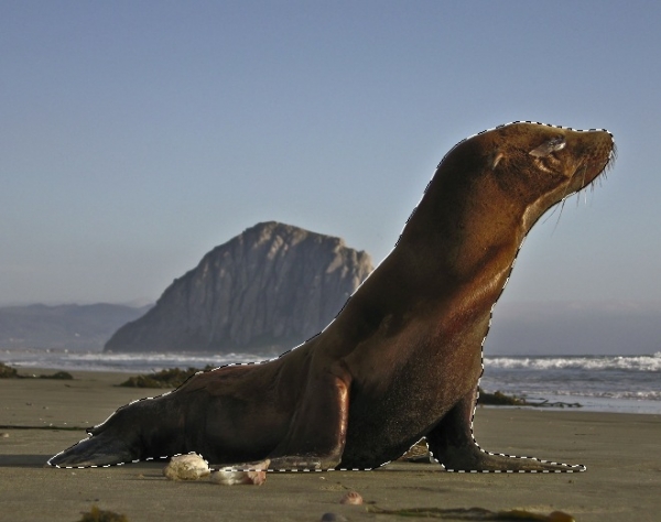 Creation of Vase of SeaLions: Step 1